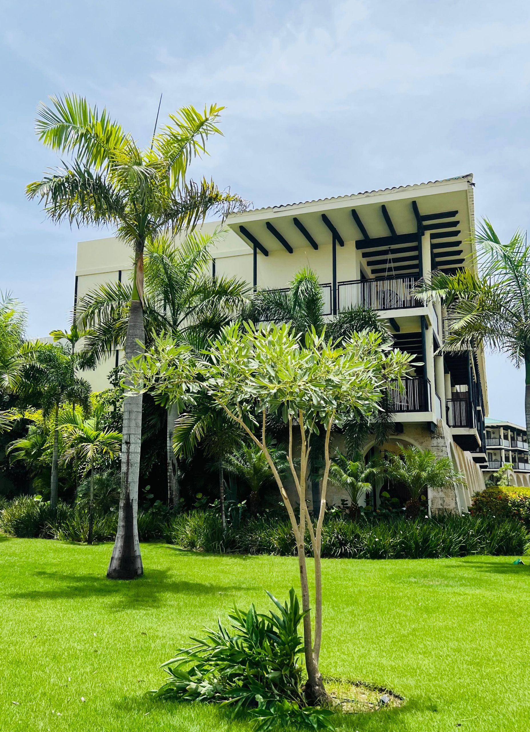 hoteles todo incluido en República Dominicana